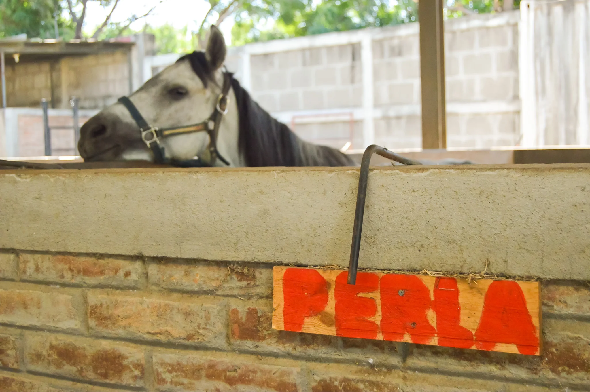 Picture about Tesoros de Dios a non-profit